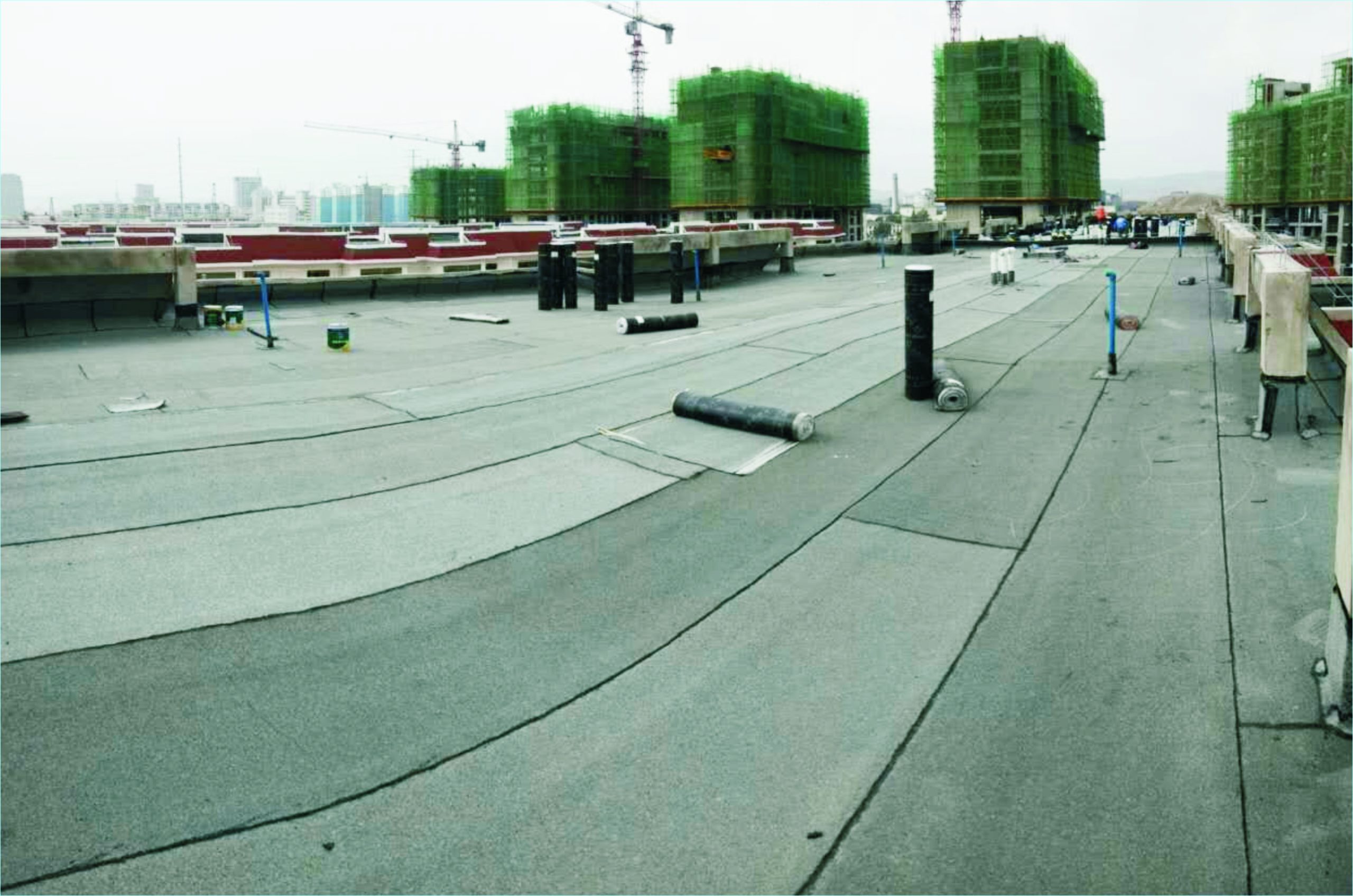 微信图片_20250320112652